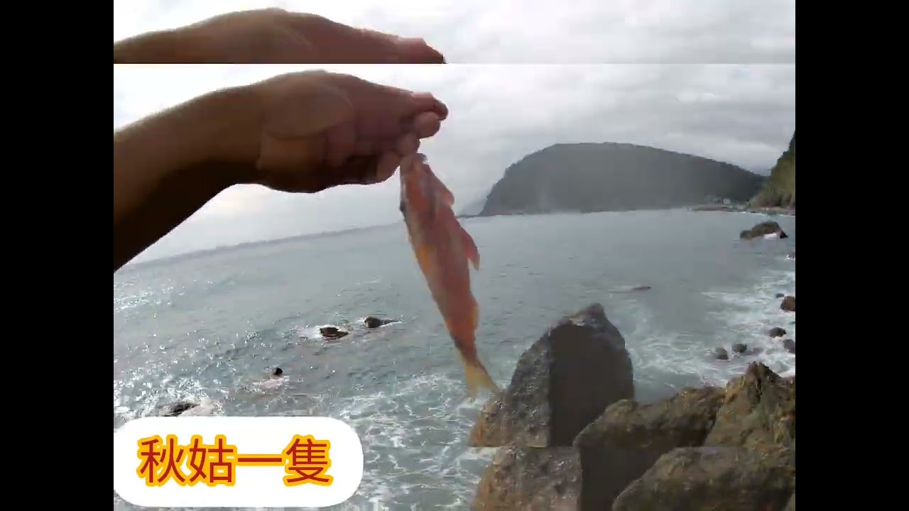 磯釣～ep.05～釣一隻算不算打龜？誘餌籠初體驗，宜蘭南澳朝陽漁港北邊〔山海釣露Mountain .Sea .Fishing .Camping〕