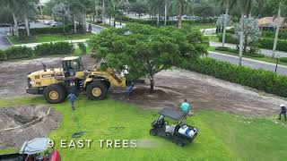 Beautification Projects 21