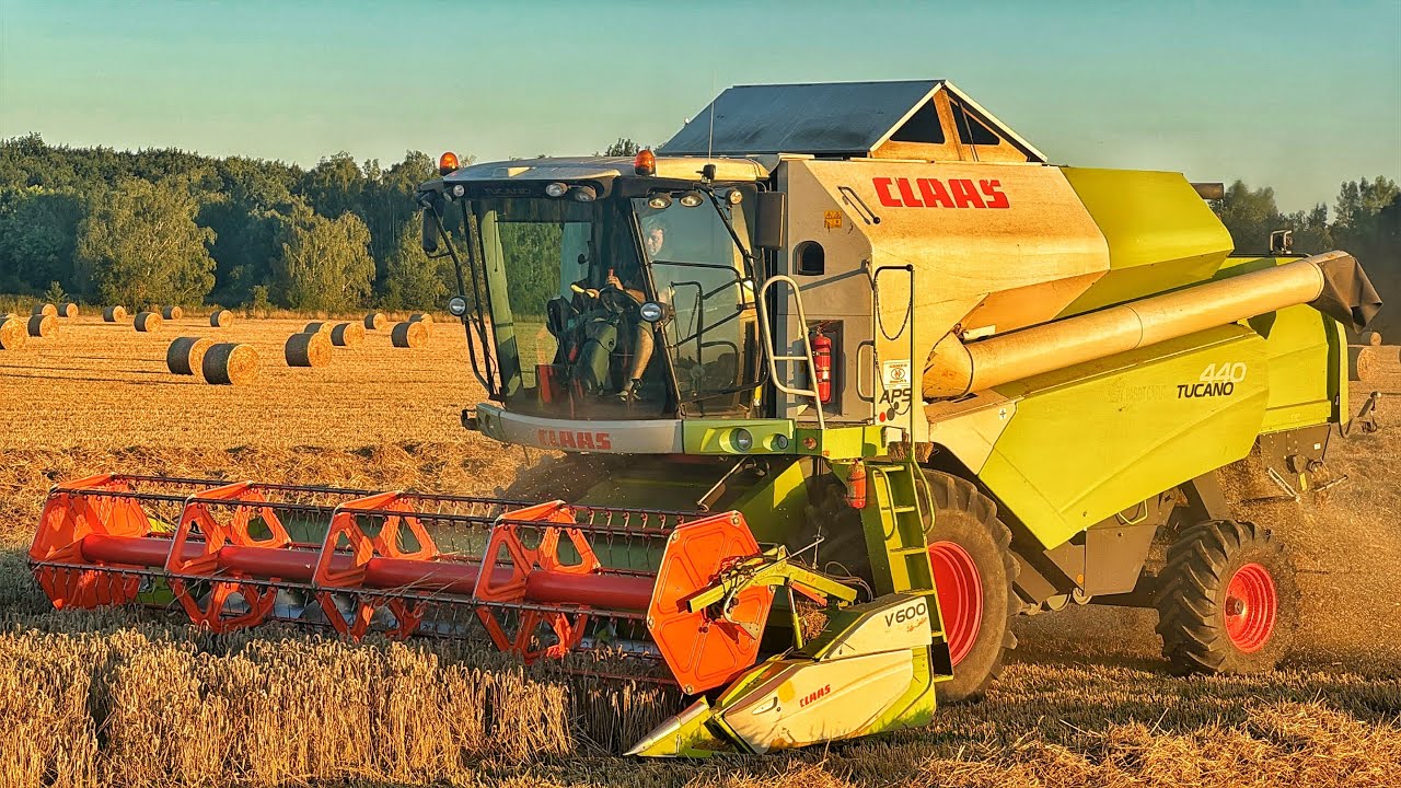 CLAAS TUCANO 440// SKLIZEŇ TRITIKÁLE