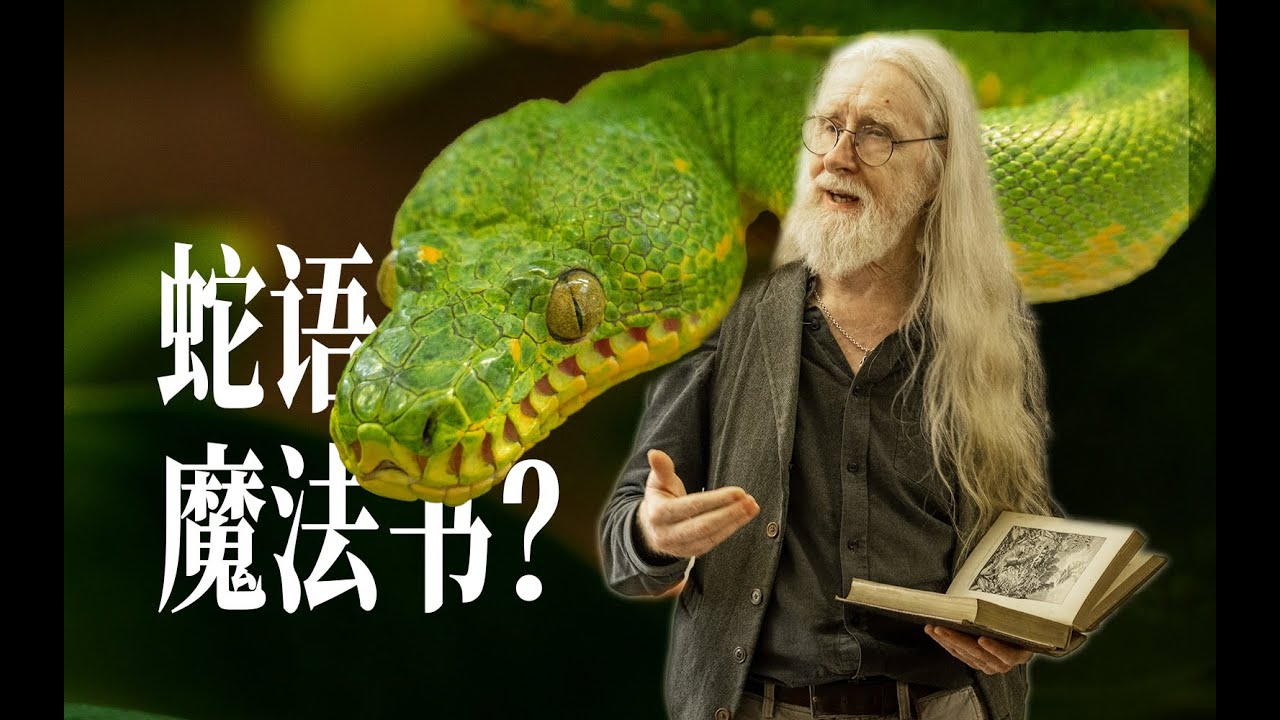 Let “Dumbledore” teach you “Serpent-tongue!”  Interview with Mark O'Shea (EN/CH subtitles)