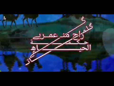 كم راح من عمري وأنا ودي اتوب