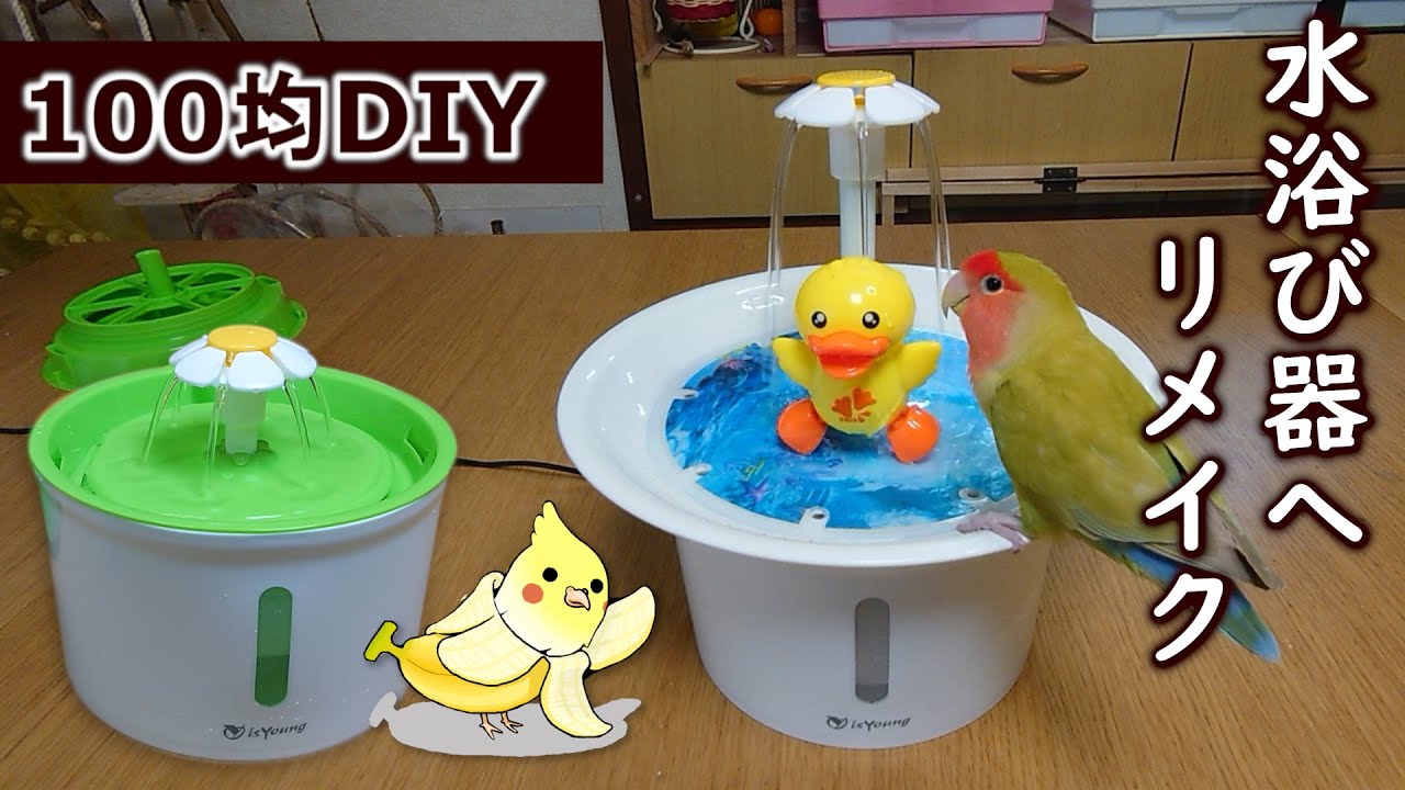 猫用自動給水器をインコの水浴び器へリメイク 手作り Youtube