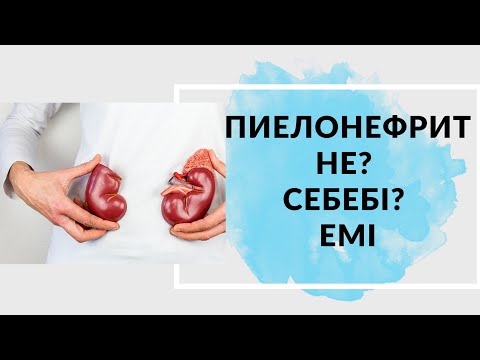 Бүйрек ауруының белгілері. Пиелонефрит себебі, емі