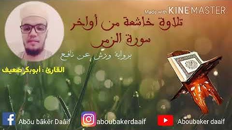 تلاوة خاشعة من أواخر سورة الزمر بصوت القارئ أبوبكر ضعيف 🎙🎧❤