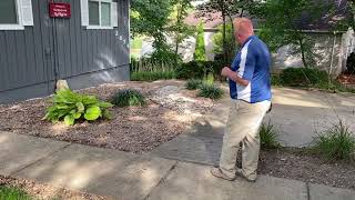 Water Issues: Berm, French Drain and Channel Drain