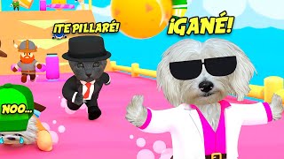 Perro Y Gato Juegan A Stumble Guys Pero En La Vida Real