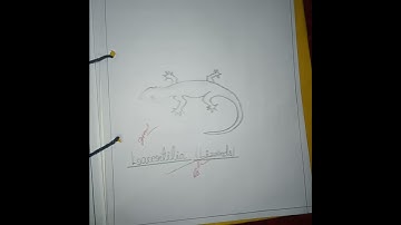 B.sc 3rd semester zoology practical file..!!💥💥#shortviralvideo