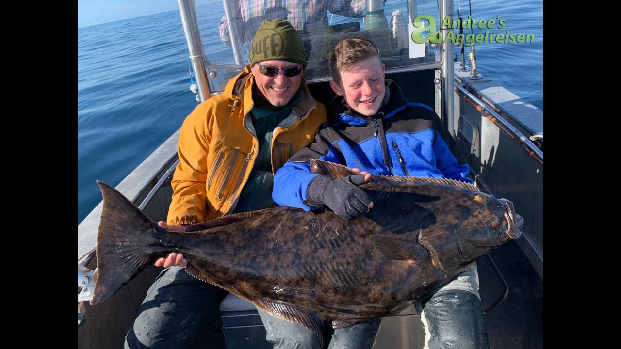 Heilbutt Drill Norwegen Nordland, Tjongsfjord-Lodge, Angeln in Norwegen / Fishing Holidays Norway