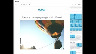 Mailster – Email Newsletter Plugin for WordPress
