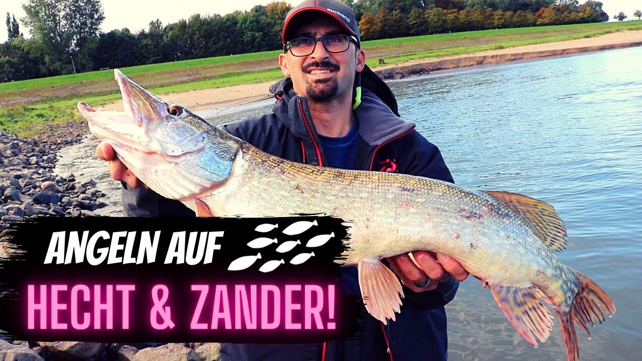 Hecht & Zander angeln in Holland | Angelguiding-CS.de