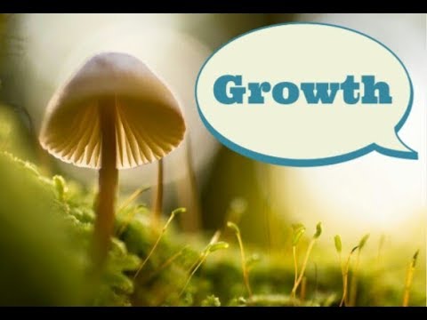 Growth ~How to grow intellectually - YouTube