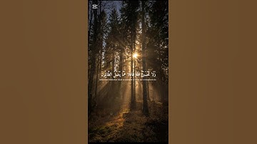 ولا تحسبن الله غافلا عما يعمل الظالمون || سورة ابراهيم ||القارئ اسلام صبحي||#قرآن #المصحف#قران_كريم