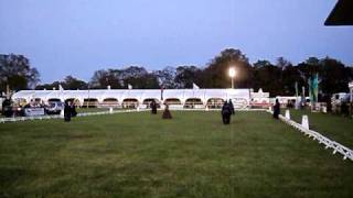 Download Lagu zelhem mei 2010 003.AVI MP3