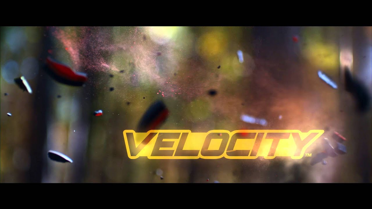 Gold Tip Arrow Damn Straight