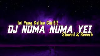 Download Lagu DJ OLD NUMA NUMA YEI [Slowed\u0026Reverb] MP3