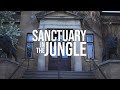 Welcome to Sanctuary in the Jungle with Aaron A. Nelson | Trailer