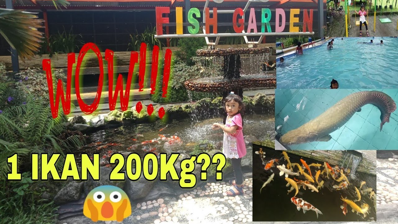 Wisata Edukasi Fish Garden Kota Blitar Wisata Edukasi Fish Garden Kota Blitar