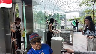 Singapore Changi Airport literally feels like a movie set 🇸🇬
