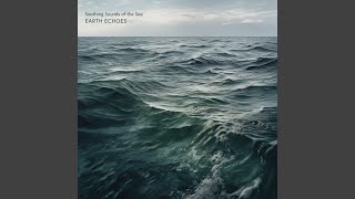 Waves of Tranquility - Earth Echoes