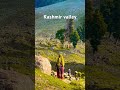 Kashmir Beauty - where heaven touches the earth❤️😍 #kashmir #nature #videoshort#organicview #viral