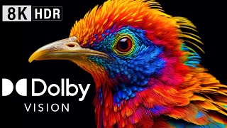 Dolby Vision Demo, 8K Hdr (120Fps)! Wonderful Nature.