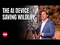 AI Devices Safeguarding Nature in Real Time 🌿