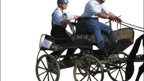 What is a Post Driving Bit?  How This Horse Bit Works for Horse Driving