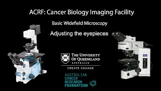 06. Widefield Microscopy Training: Adjusting the eyepieces