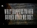 What Happens to Our Bodies When We Die?