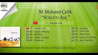 M.Mehmet Çelik - Nerelerde Resimi