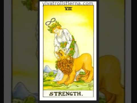 8 Strength