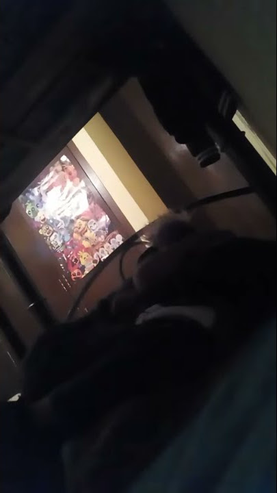 vaya vaya hijo de tu puta madre