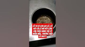 Cô Nói Nồi Cơm Của Sư Thầy Thích Minh Tuệ Là Nồi Cơm Trí Tuệ Đập Dỡ Nồi Cơm Khác...A Di Đà Phật