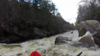 Upper Blackwater - Goldilocks to Tomko showing log in Choppers