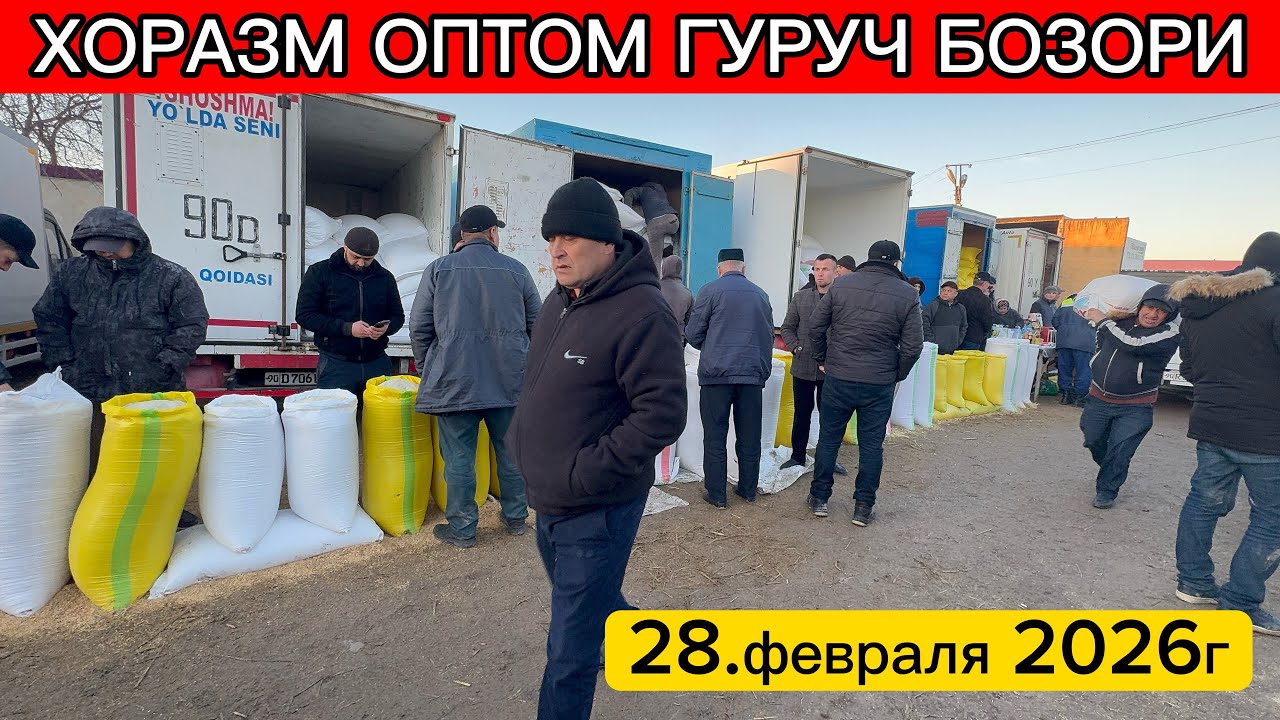 ХОРАЗМ ОПТОМ ГУРУЧ БОЗОР НАРХЛАРИ 28-февраля 2026г