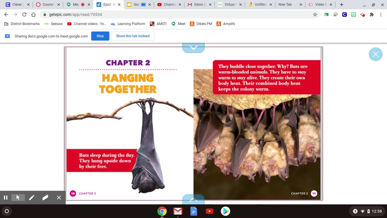 October 20: Reading Nonfiction Bat Colonies Chapter 2