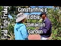 Field Trip Friday- Constantine's Edible Jamaican Garden