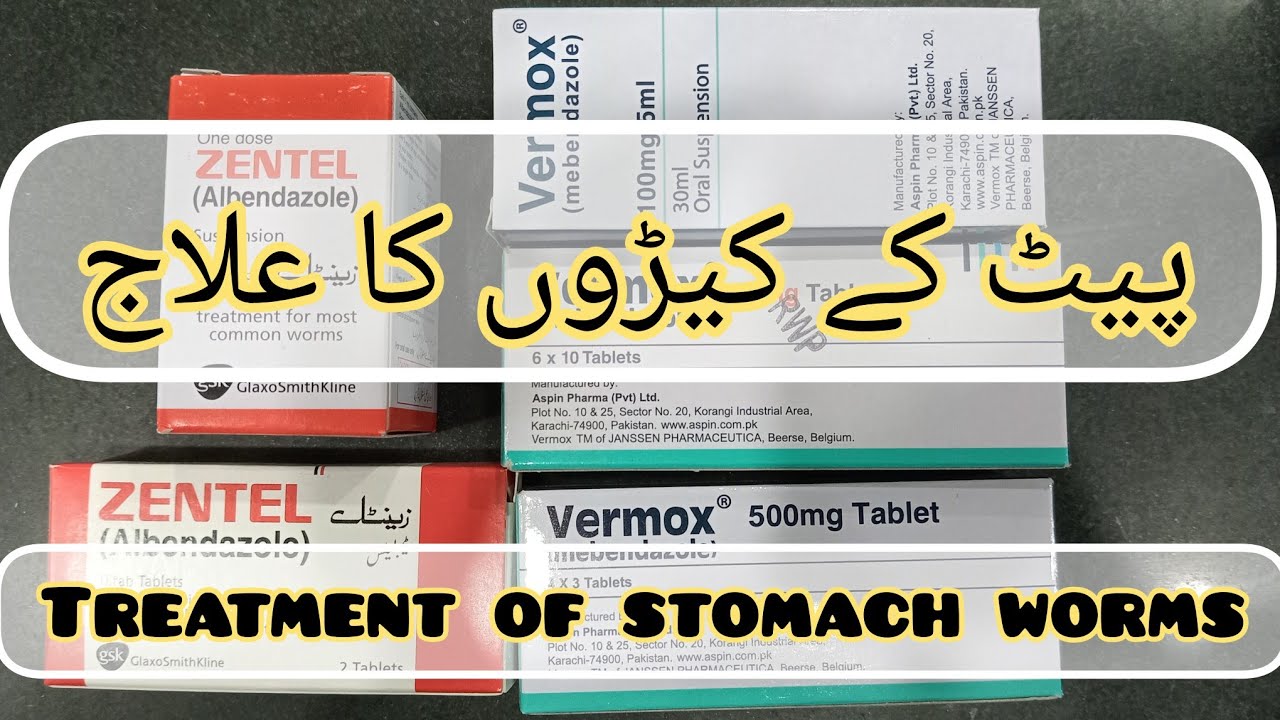 Pait K Keeron ka ilaj | Worms Treatment | Pet K Keeron ki Medicine 