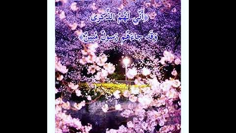 القارئ الشيخ عبد الرشيد صوفي برواية ورش