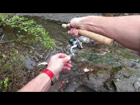 Fishing Pennsylvania Waters 