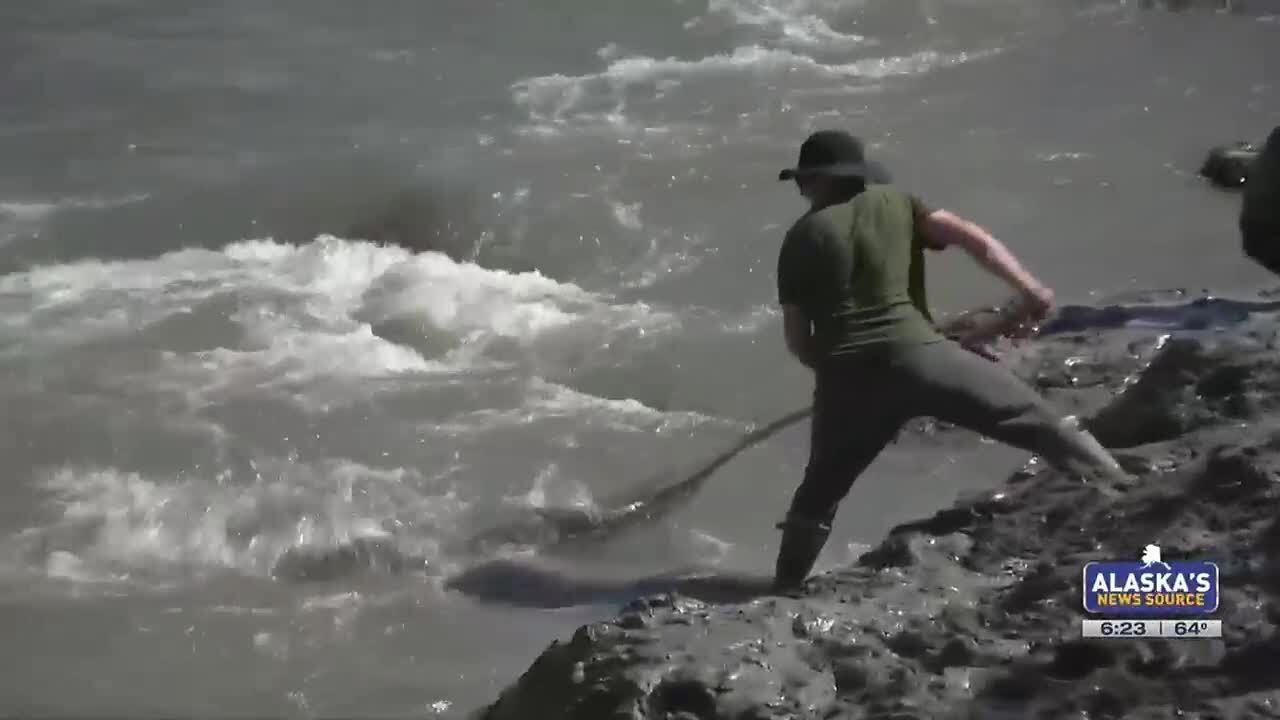 Fishing Report: Slam’n Salmon on Summer Solstice