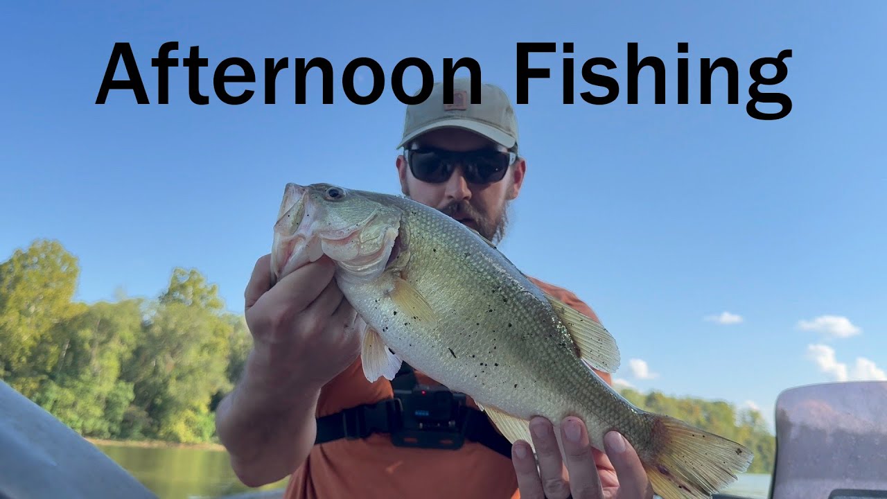 Afternoon Bass Fishing