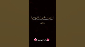 #قران_كريم #yasseraldossary #القرآن_الكريم #لايك #المصحف #تلاوة_خاشعة #الرحمن #قرآن