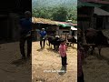 Give me truth | Dokriani Bamak #shorts  #mountains #travel #hiking #camping #himalayas