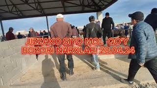 JIZZAX OSIYO MOL QO'Y BOZORI NARXLARI ЖИЗЗАХ ОСИО ЧОРВА МОЛ БОЗОРИ НАРХЛАРИ 28.04.24 #жиззах #ozod