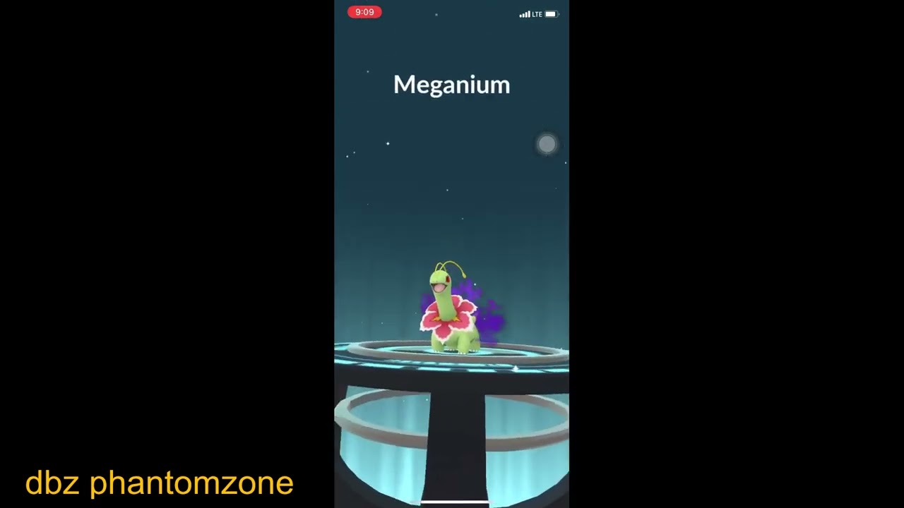 BAYLEAF TO MEGANIUM SHADOW EVOLUTION