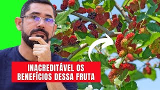 As Propriedades Surpreendentes Da Amora