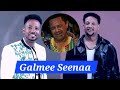 Galaanaa Gaaromsa Ft Yosan Geetahuun Galmee Seenaa Ethiopian New Oromo Music 2026 