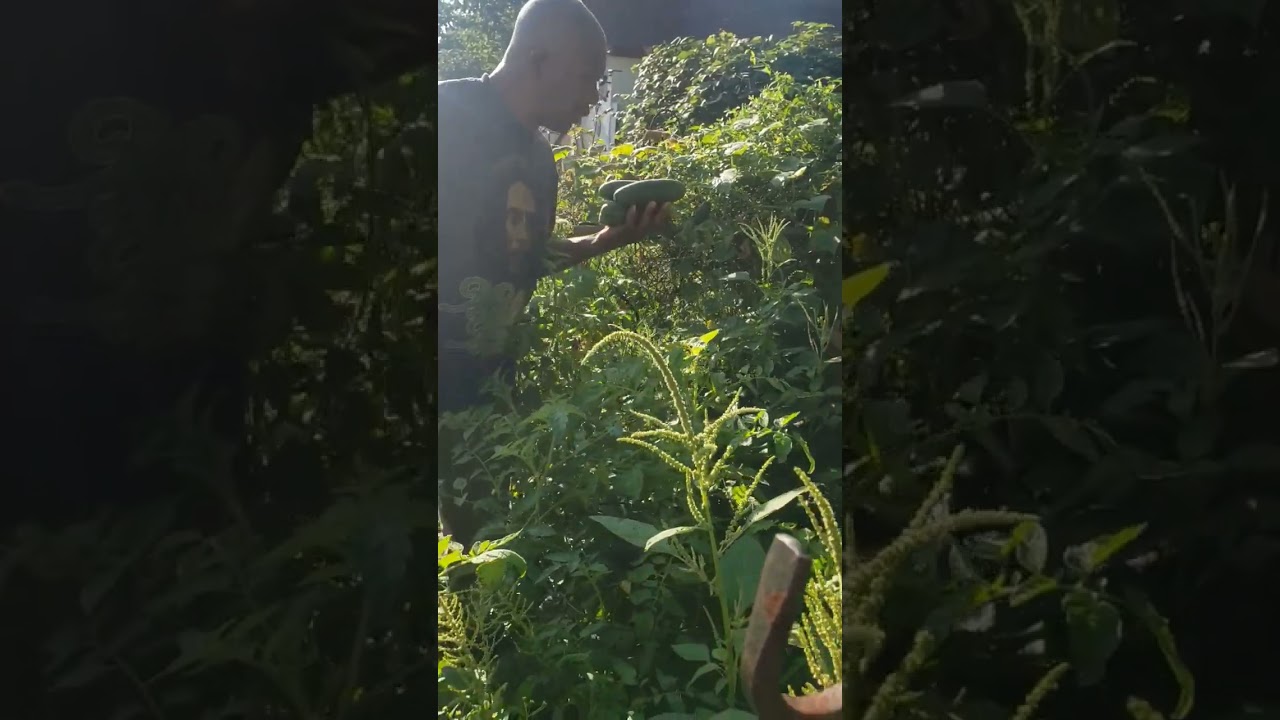 Garden inspection 🥰