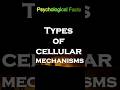 Types of Cellular Mechanisms